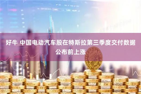 好牛 中国电动汽车股在特斯拉第三季度交付数据公布前上涨