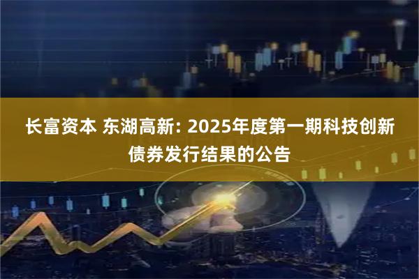 长富资本 东湖高新: 2025年度第一期科技创新债券发行结果的公告